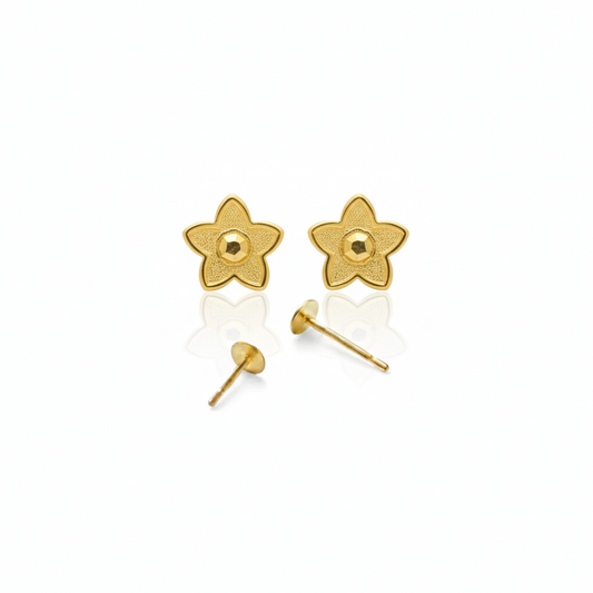 18K Real Gold Star Dot Earrings
