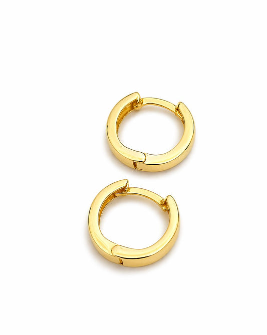 Pair of gold hoop earrings on a white background