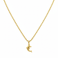 18k Gold Dolphin Necklace
