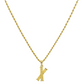 18k Gold Exclusive Necklace