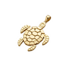 Gold turtle pendant on a textured gray background