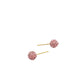 18k Gold Swarovski Multi color Studs Earrings - Embellish Gold