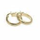Gold hoop earrings on a white background